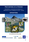 Lépidoptères 2020