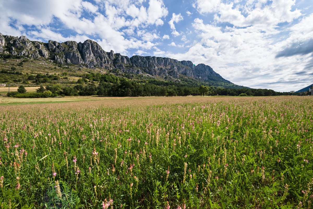Parc naturel régional des Préalpes d'Azur