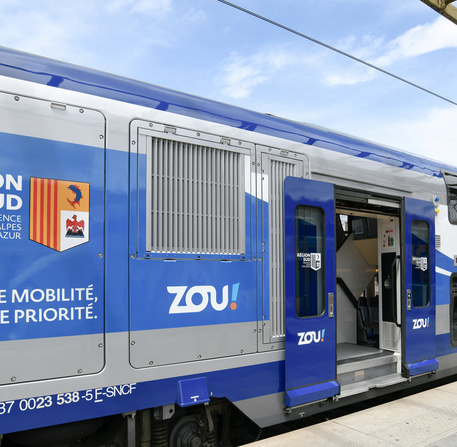 Ter Zou