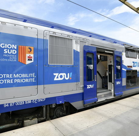 Ter Zou