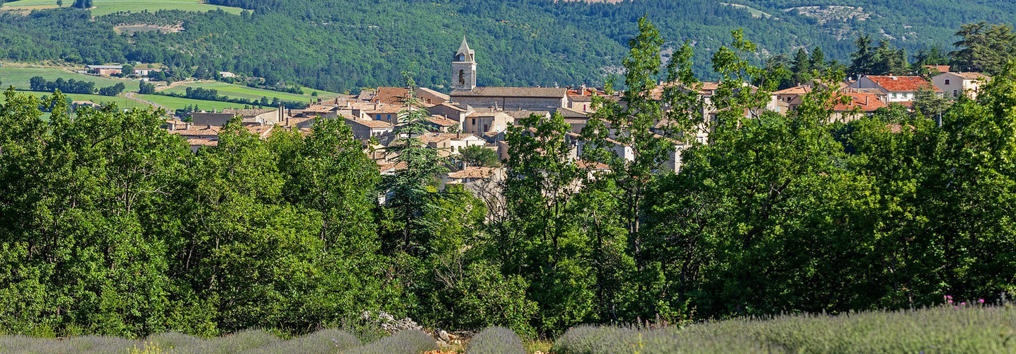Sault, vue générale sur le village, champ de lavande au premier plan