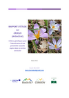 Rapport d’étude sur les crocus
