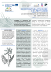 Newsletter n°2 GEBIODIV