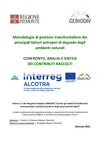 Rapporto Confronto Metodologie Gestione