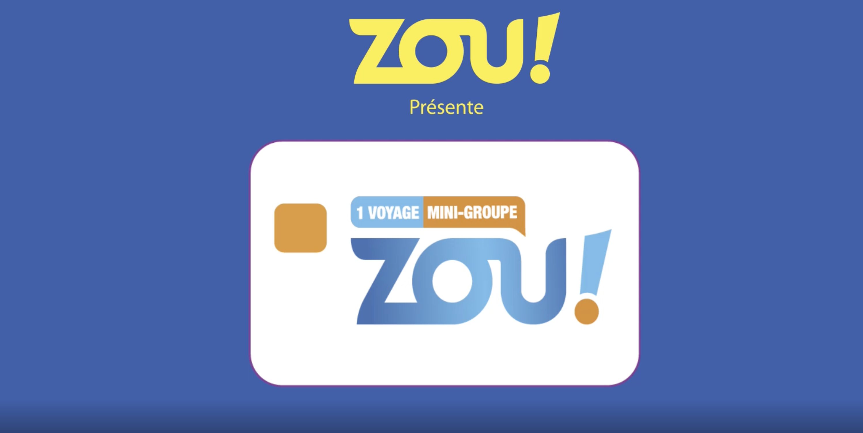 Infographie Zou mini groupe