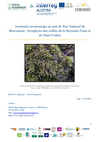 Rapport Bryophytes