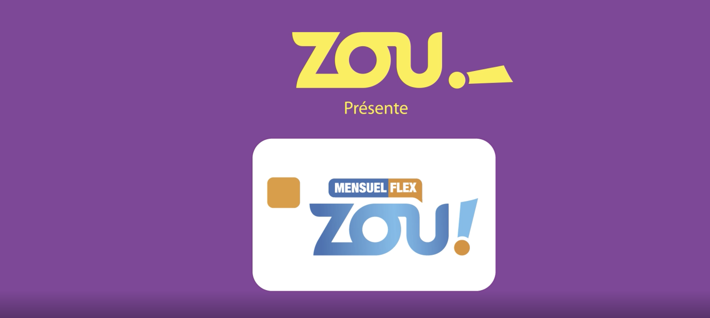 Infographie Zou Flex