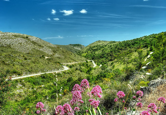 Col de Vence c Jean Jacques giordan