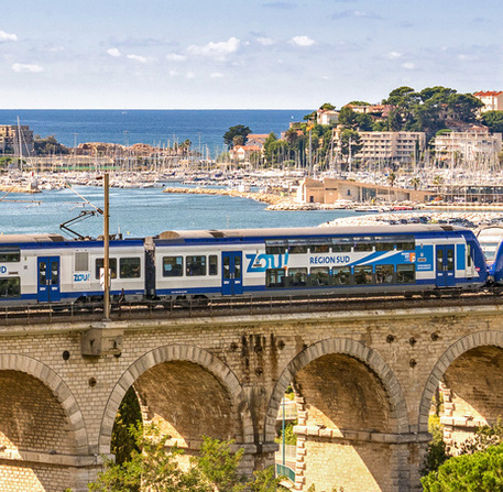 Train zou avec vue mer