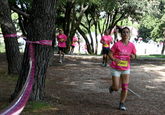 41- DSC0246