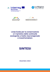 Sintesi Linee Guida