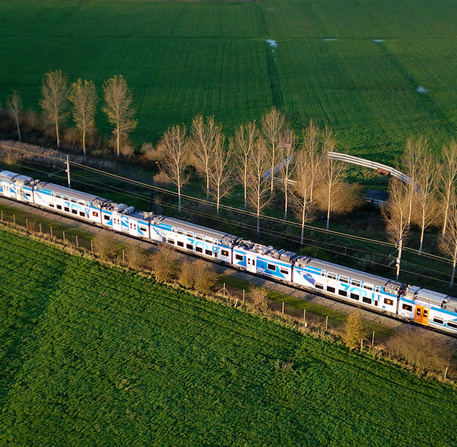 Train zou dans la campagne