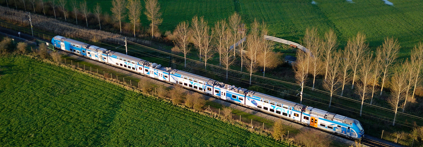 Train zou dans la campagne