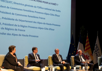 SUD091646-congres communes forestieres-Region Sud - Claude ALMODOVAR BD