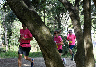 42- DSC0263