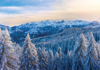 Foret enneige e Hautes-Alpes c R Van Rijn