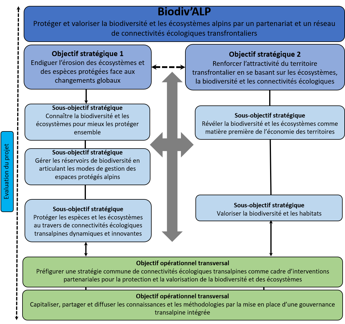 Cadre stratégique transfrontalier Biodiv’ALP